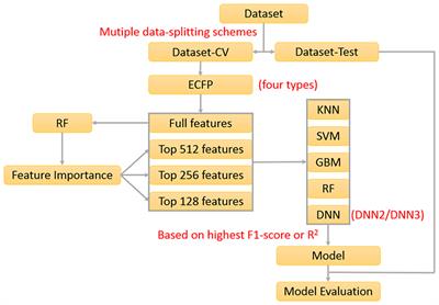 e-Sweet: A Machine-Learning Based Platform for the Prediction of Sweetener and Its Relative Sweetness